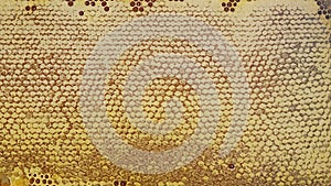 Honeycomb textured golden background photo