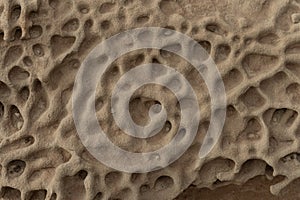 Honeycomb Weathering on Sandstone Surface photo