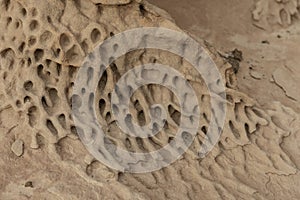 Honeycomb Weathering on Sandstone Surface photo