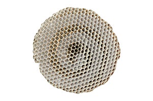 Honeycomb on white background