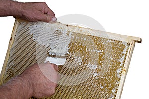 Honeycomb will open and uncapped for harvest honey