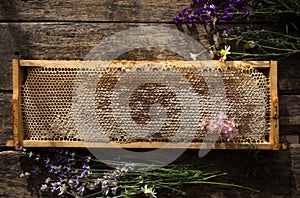 Honeycomb and wooden honey dipper. Raw honey. Natural honey, closeup view