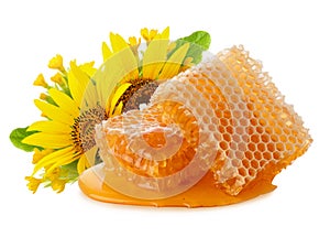 Honeycomb with yellow fresh flowers and liquid honey close up isolated on white background