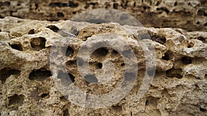 Honeycombed Eroded Rock Formation