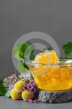 Honeycombs and floral honey with wildflowers. Vertical photo with negative space