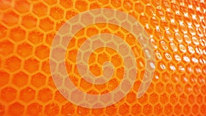 Honeycombs and honey