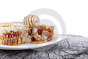 Honeycombs and stick to honey on white background