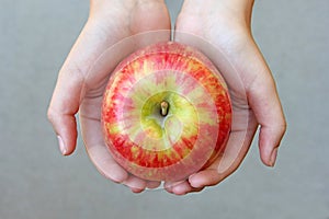 Honeycrisp Apple held in palms of a child