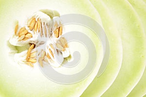 Honeydew centered