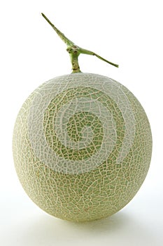 Honeydew melon photo