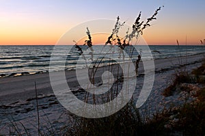 Honeymoon Island Beach Sunset