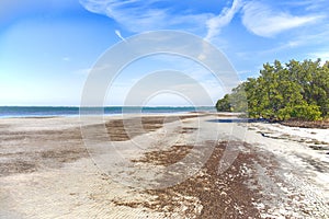 Honeymoon Island Secluded Beach