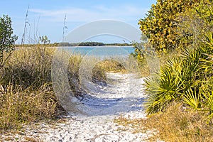 Honeymoon Island Secluded Beach Access Trail