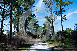 Honeymoon Island State Park in Florida