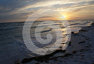 Honeymoon Island State Park, Florida