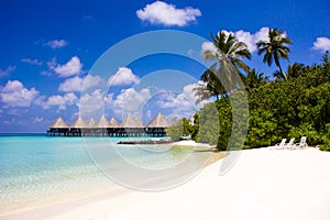 Honeymoon in The Maldives, Eden on Earth