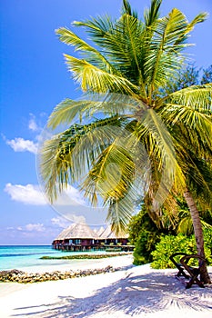 Honeymoon in The Maldives, Eden on Earth