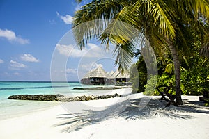 Honeymoon in The Maldives, Eden on Earth