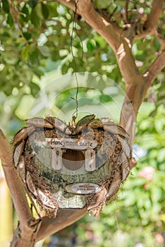 Honeymoon suite -wodden birds tree house in garden in a shape of