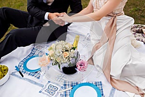 Honeymooners joined hands and sitting on a picnic in the park