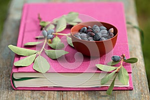 Honeysuckle berries in bowl on the fuchsia book on wooden surface