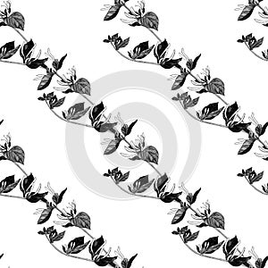 Honeysuckle. Branch with flowers and buds. Garden flower. Seamless patterns on a white background. Use printed materials, signs,