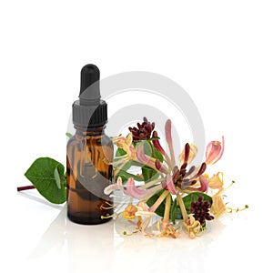 Honeysuckle Essence