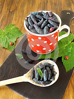 Honeysuckles in a red polka dots mug