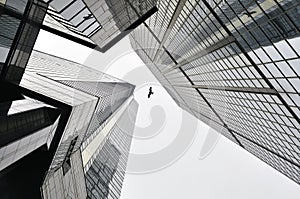 Hong Kong bird between skyscrapers photo