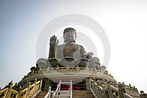 Hong Kong Buddha