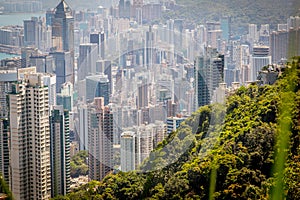 Hong Kong, the city and the bay from Victoria Peak
