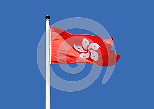 Hong Kong flags are fluttering in the breeze