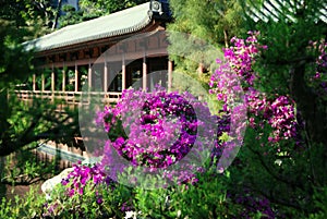 Hong Kong: Nan Lian Garden photo