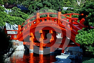 Hong Kong: Nan Lian Garden Bridge photo