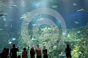 Hong Kong : Ocean Park