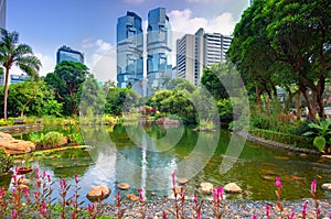 Hong Kong Park photo