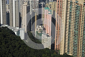 Hong Kong residential area from Victoria Peak