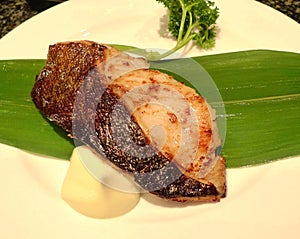 Hong Kong Sen-Ryo Genki Sushi Restaurant Japanese Cuisine Casual Dining White Fish Dish Mayo Mayonnaise Seafood Protein Food