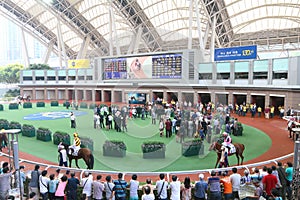 Hong Kong : Sha Tin Racecourse