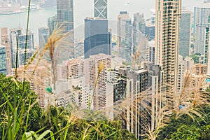 Hong Kong skyline. View from Victoria Peak