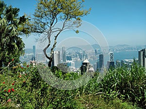 Hong Kong skyscrapers views from Victoria Peak