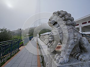 Hong Kong Victoria peak