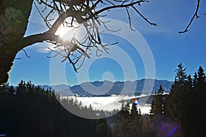 The Hongar mountain in autumn in the fog, Voecklabruck, Austria, Europe