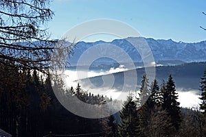 The Hongar mountain in autumn in the fog, Voecklabruck, Austria, Europe