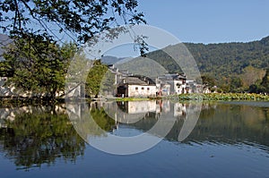 Hongcun Ancient Town in Anhui Province, China. Old buildings by Nanhu lake with trees and lilies