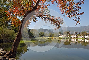 Hongcun Ancient Town in Anhui Province, China. View of Nanhu Lake with red tree, stone bridge, lilies and old buildings