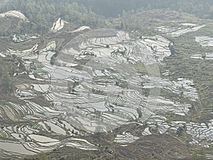 Honghe Hani Rice Terraces