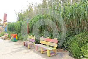 HongKong - 19 September,2014: Beautiful and colorful benches in the amusement park