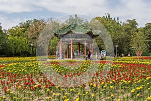 Hongshan Park, Urumqi, Xinjiang. China