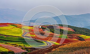 Hongtudi Laterite in dongchuan,Yunnan,NO.3